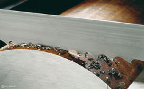 辽阳带锯床线速度设定过高，为什么会导致带锯条齿尖发热加速锯条的磨损？